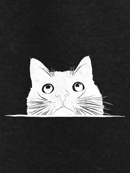 Peeping cat with whiskers