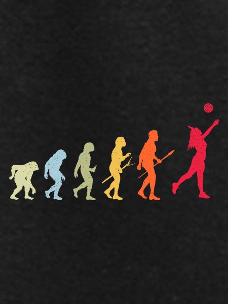 Volleyball Evolution
