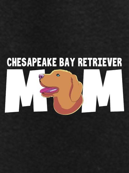 Chesapeake Bay Retriever