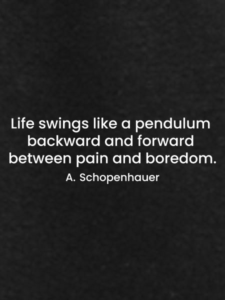 Schopenhauer sarcastic quote