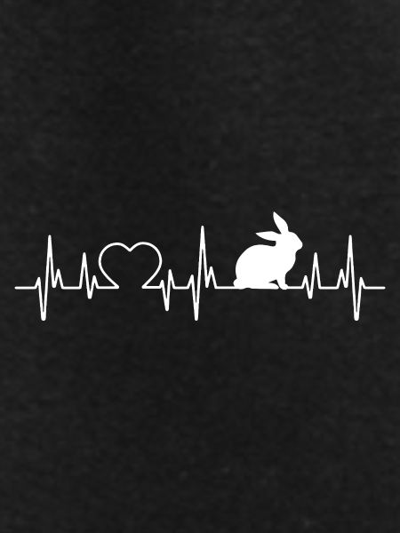 Rabbit heartbeat
