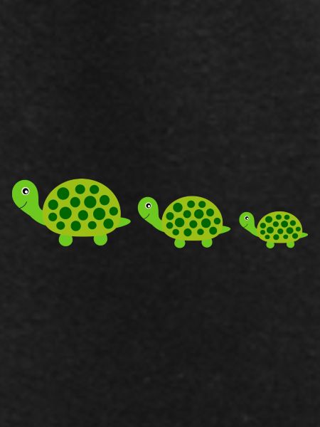 Turtle Turtles