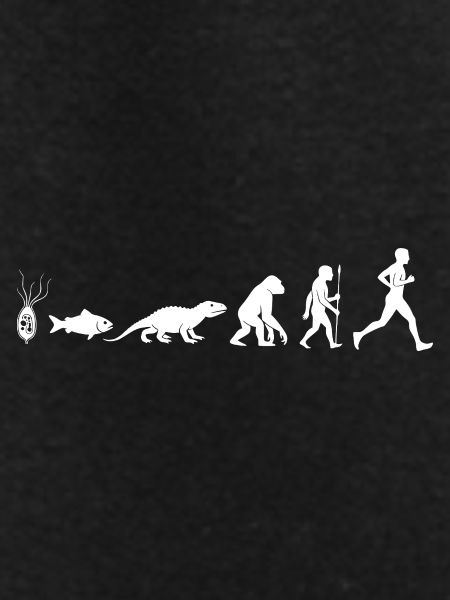 Evolution Run Fitness Silhouette