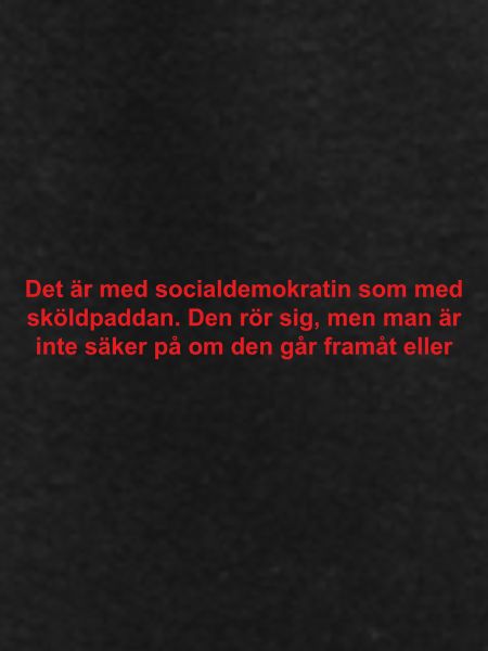 Social Democrats Text