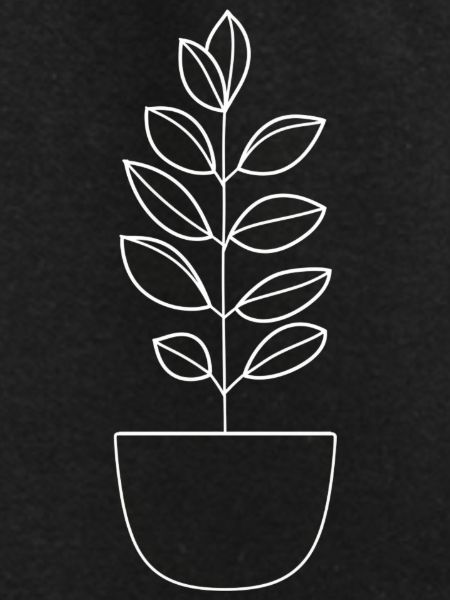 Plant minimalist