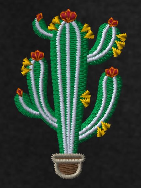 Cactus 1