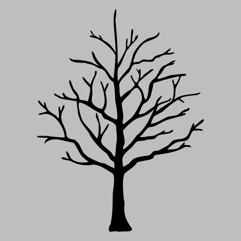 Baum