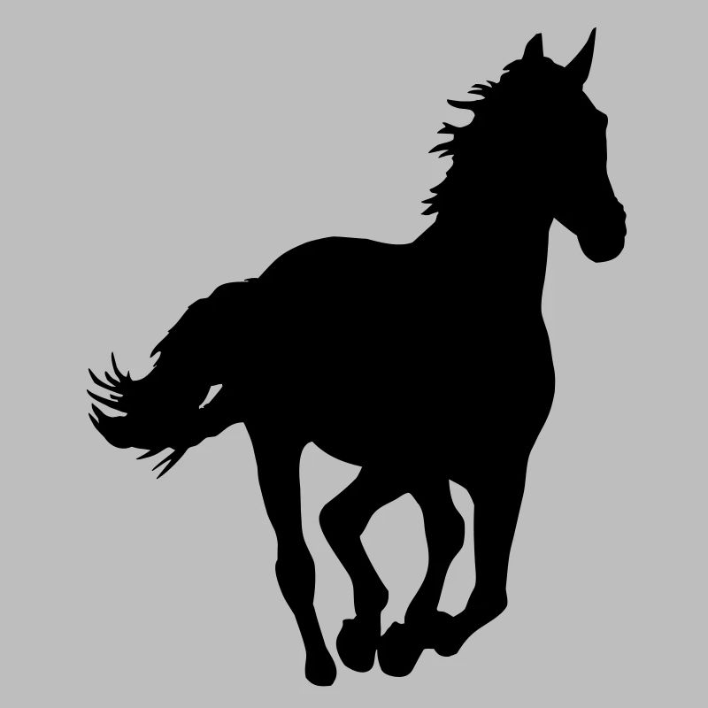 Ein Pferd.