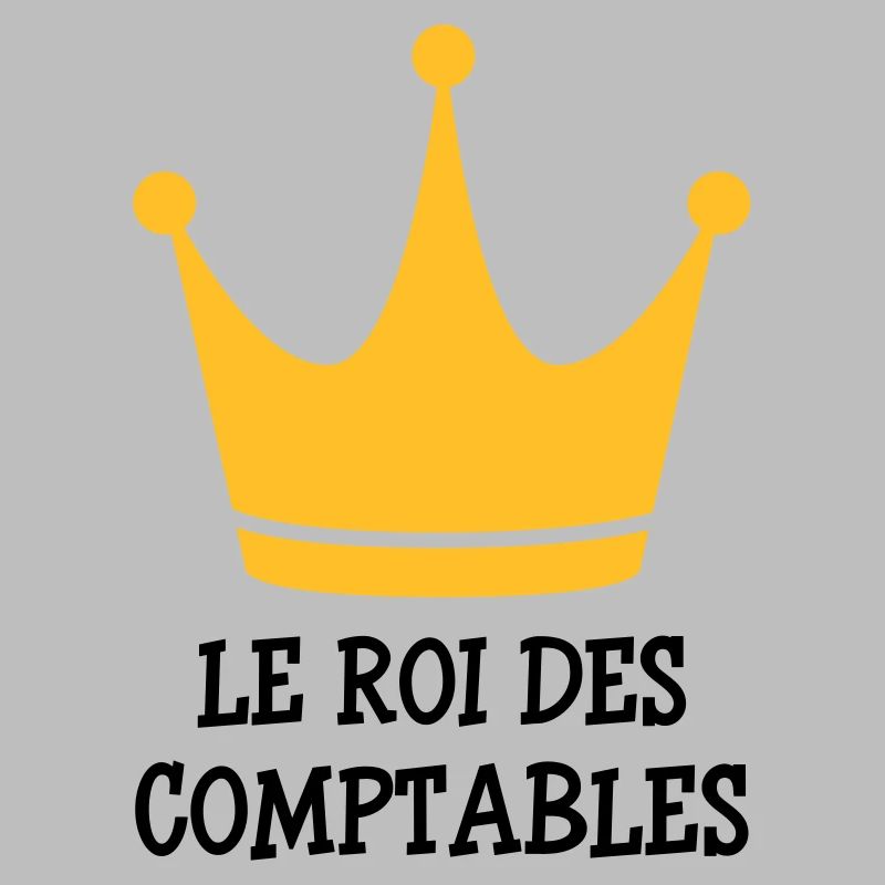 comptable / comptabilité / argent / Finance / Euro