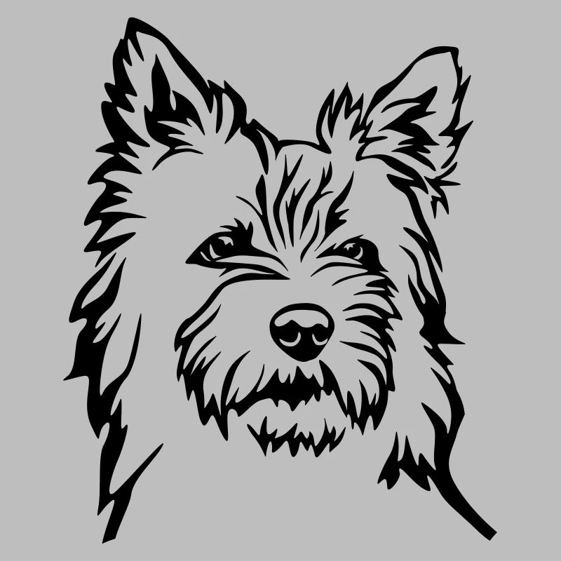 Cairn Terrier