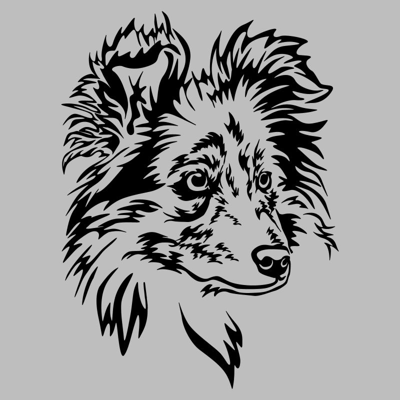 Sheltie Kopf