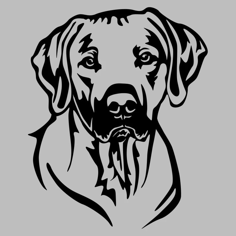 Rhodesian Ridgeback Kopf
