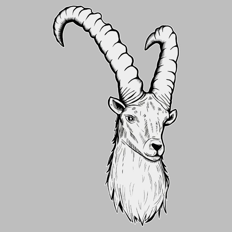 Steinbock Sternzeichen