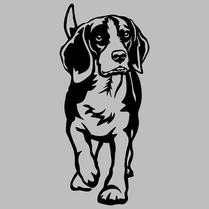 Beagle
