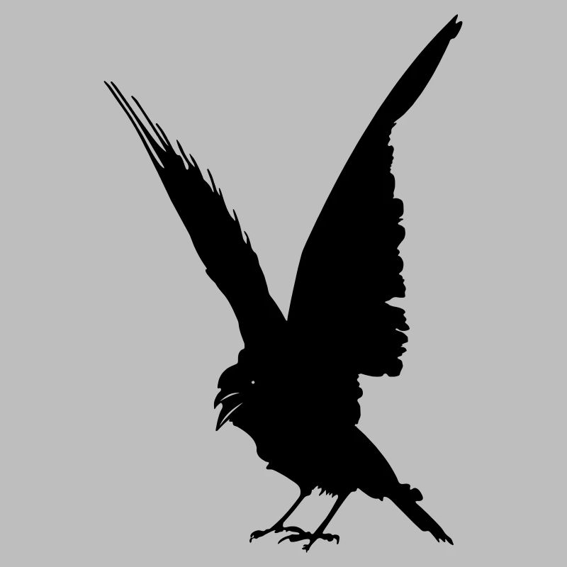 Schwarze Vogelkrähe oder Rabenschattenfigur