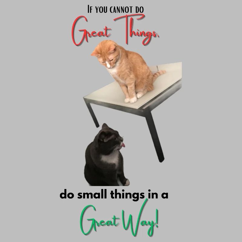 If you cannot do Great Things, do small things...