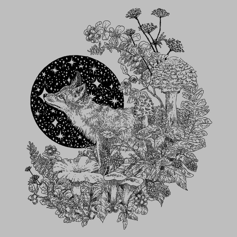 FUCHS & NACHTHIMMEL