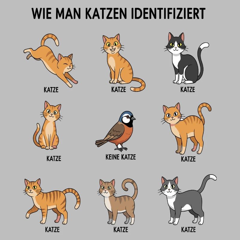 Guide d’identification des chats