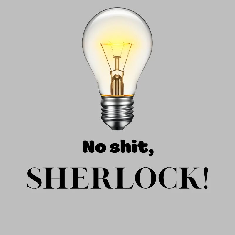Pas de merde Sherlock !