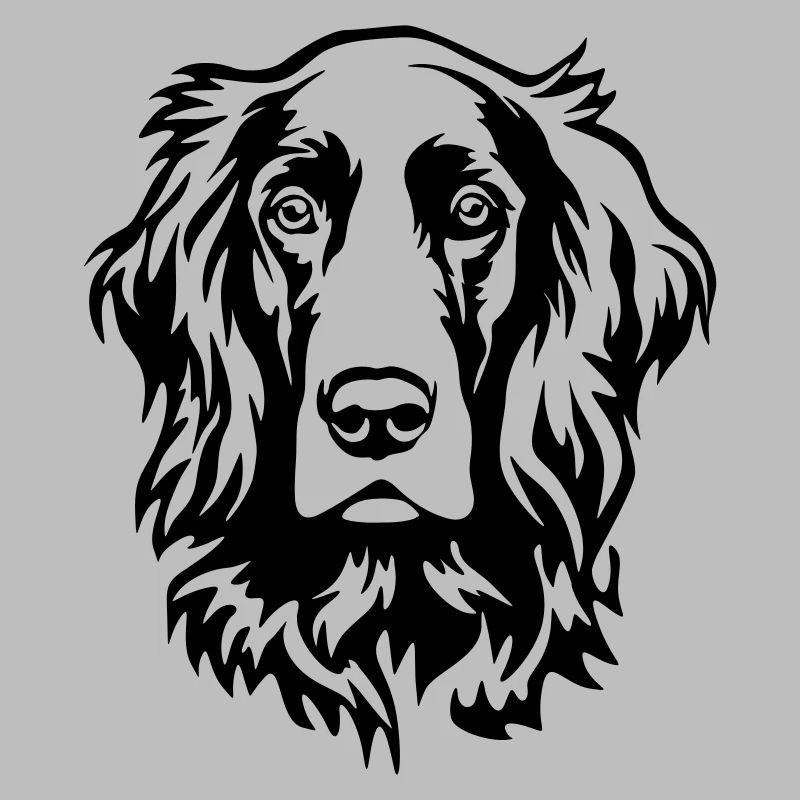 Irish Setter Head