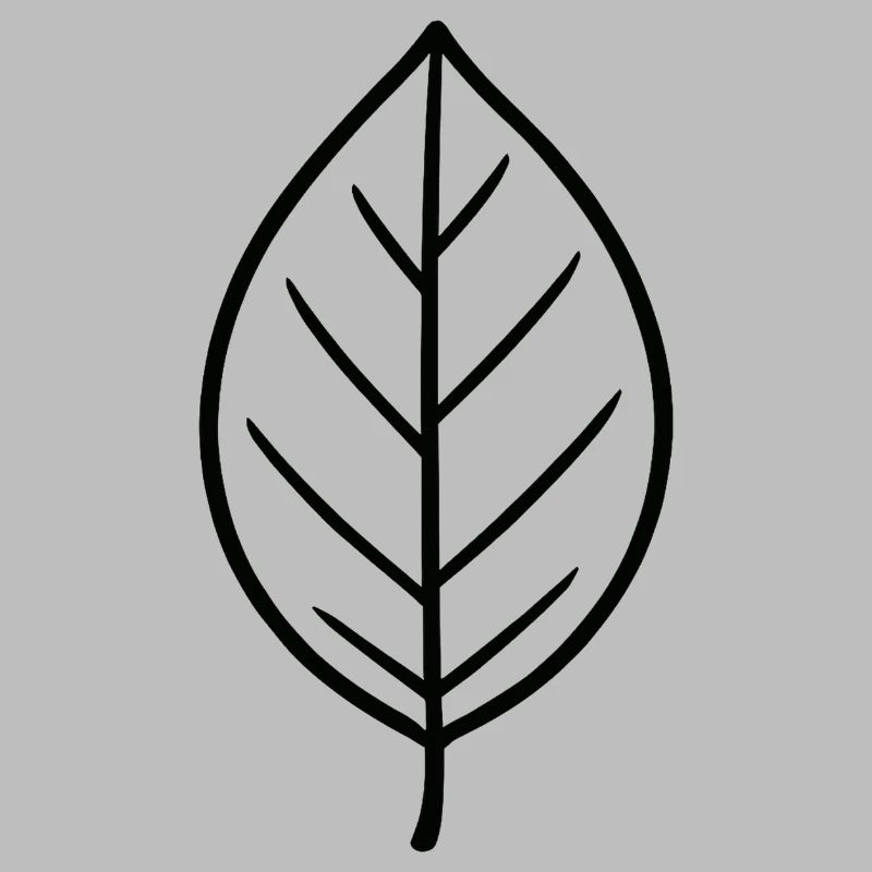 Conception minimaliste Leaf
