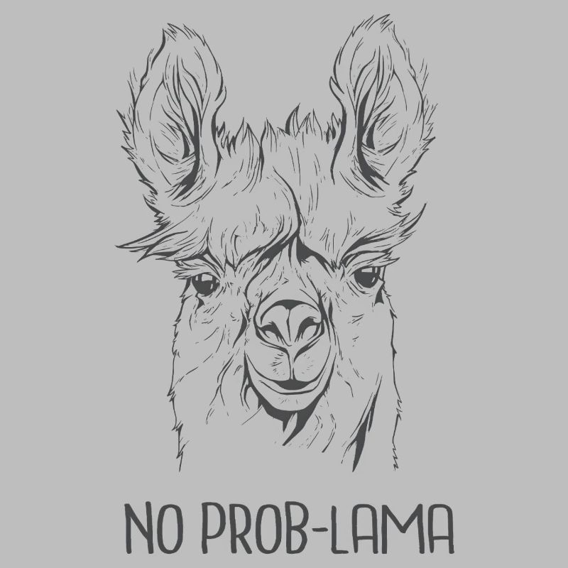 Pas de problème – Alpaga cool : expression drôle