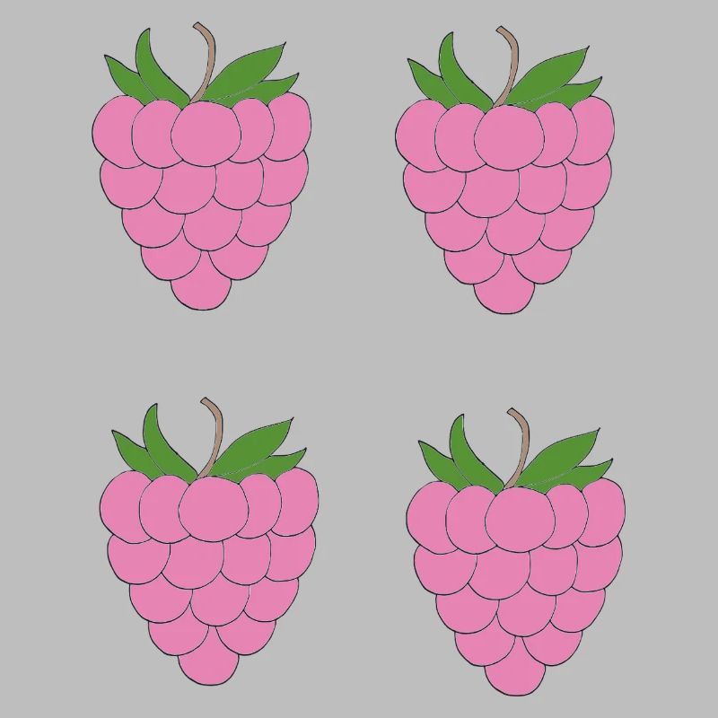 Raspberry Double Cluster Pattern