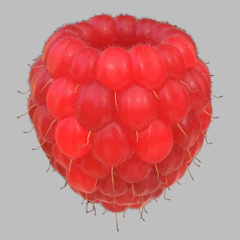 Modèle de grappe de framboises