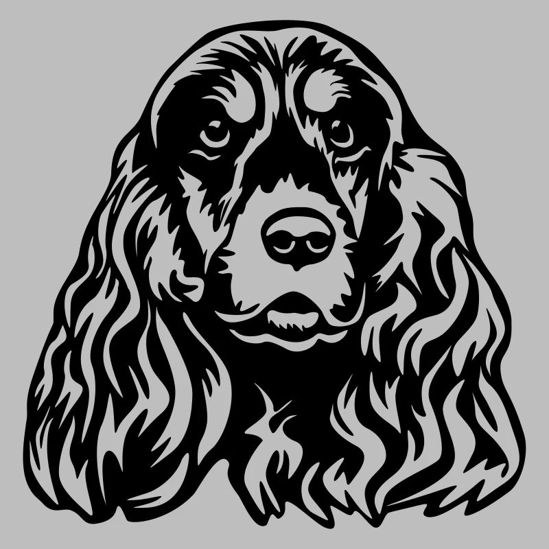 Cocker Spaniel tête