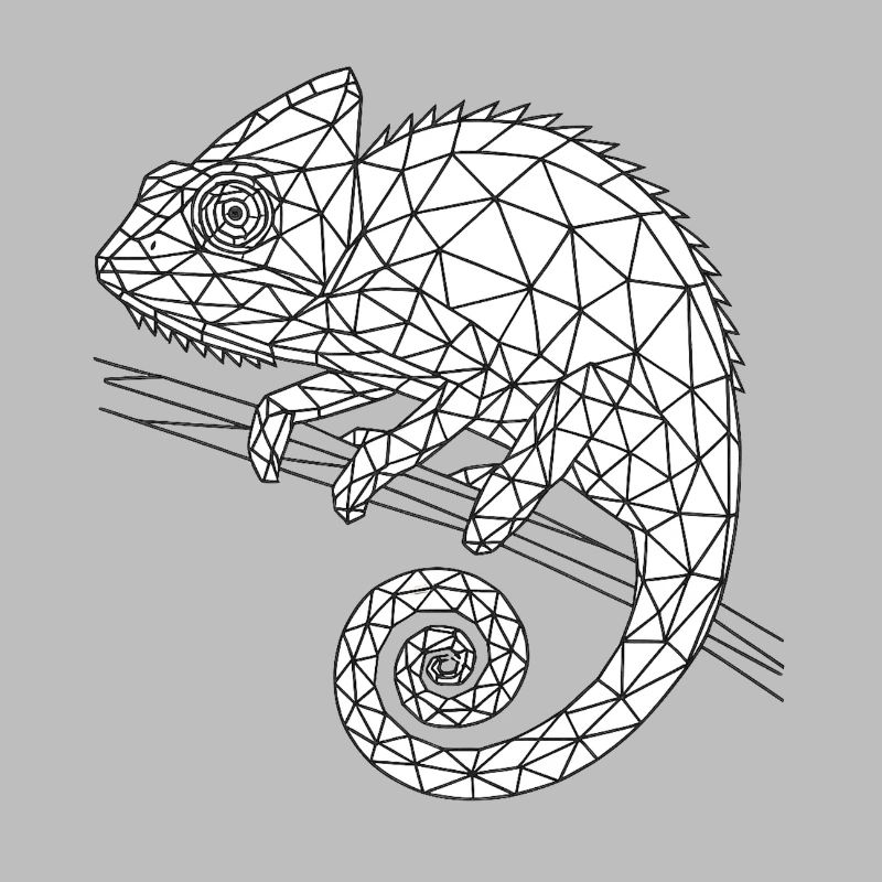 Geometric Chameleon Wireframe