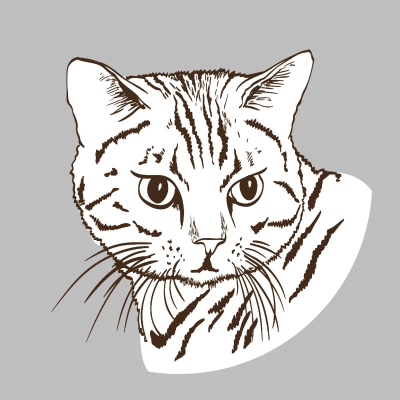 Katze
