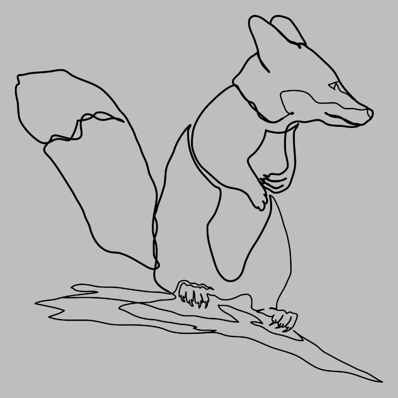 Fox Squirrel Squirrel Fox