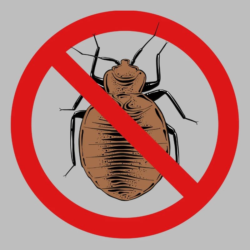 bed bug, bed bug