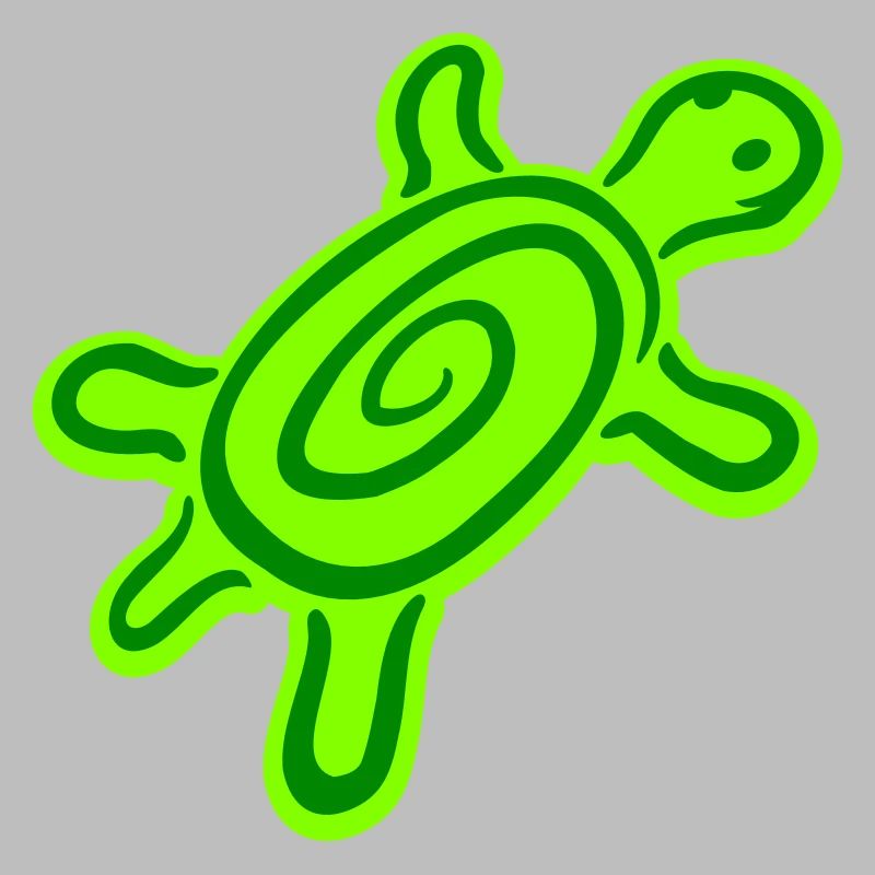 turtle spiral turtle shell pattern cute