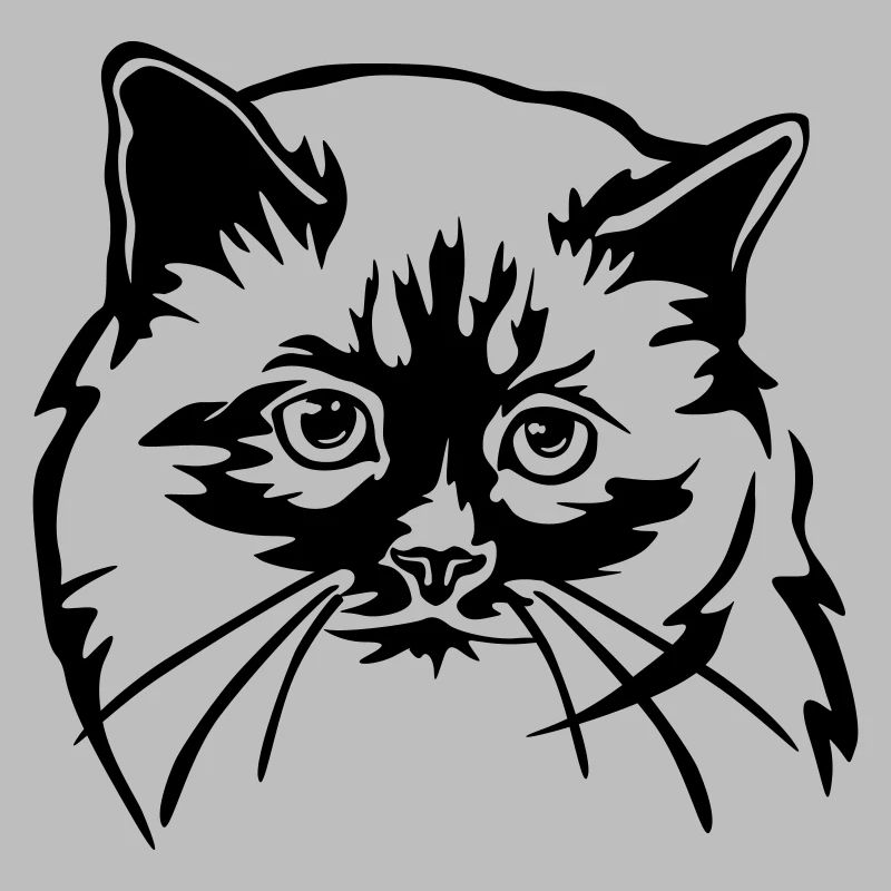 Chat birman