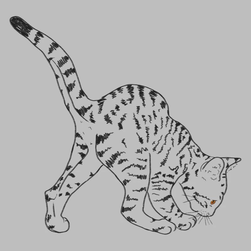 Schwarze Katze