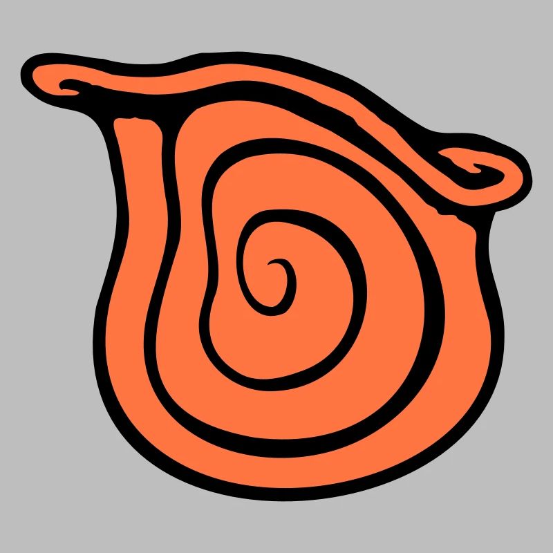 coquille d’escargot escargot insecte maison spirale cool