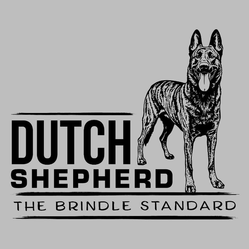 Dutch Shepherd – Dutchie