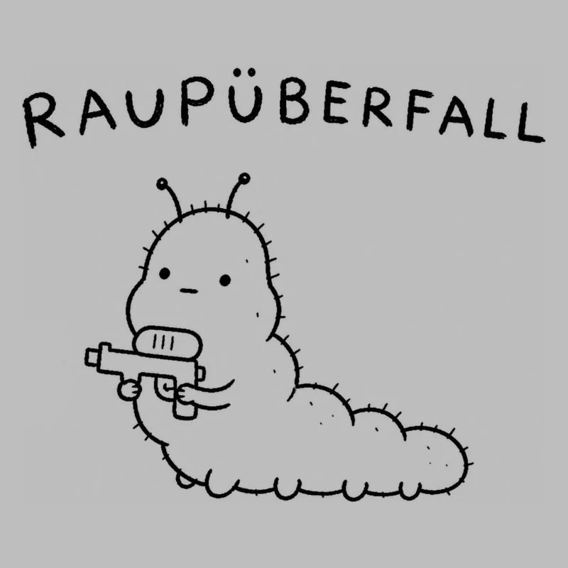 Raupüberfall