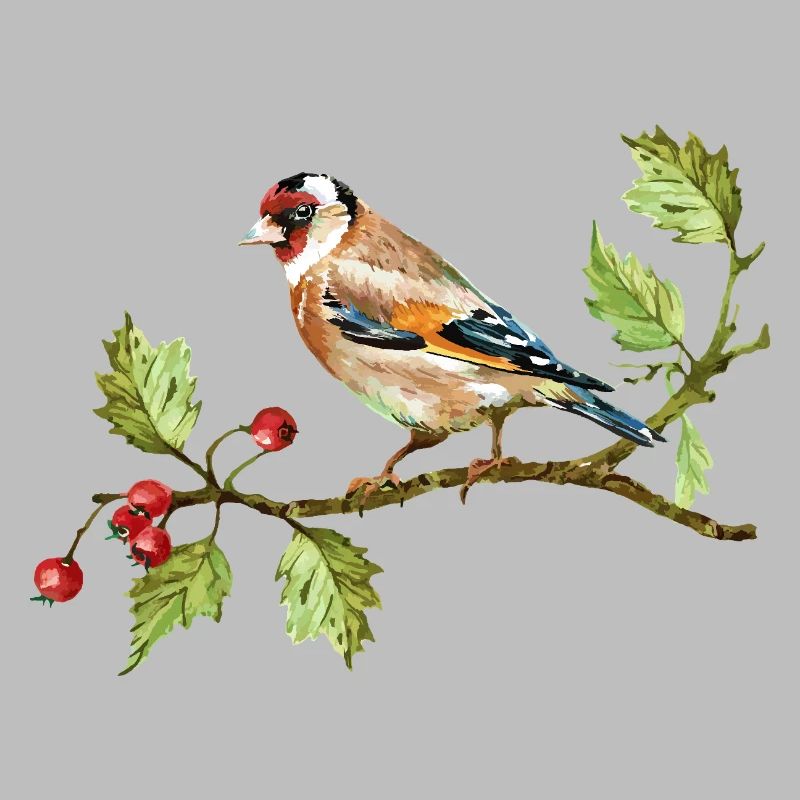 Bunter Vogel