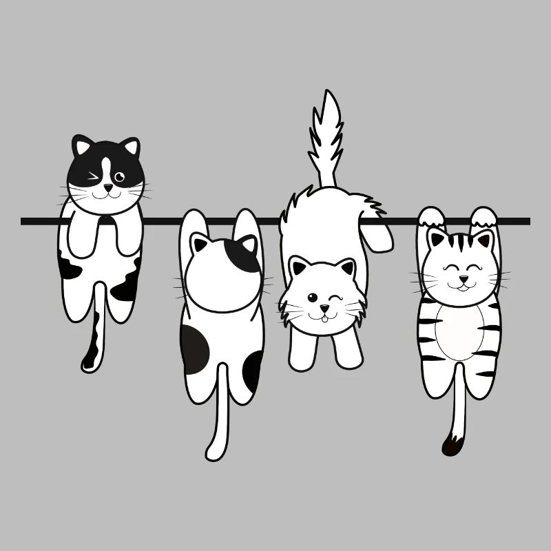 Chat de lessive