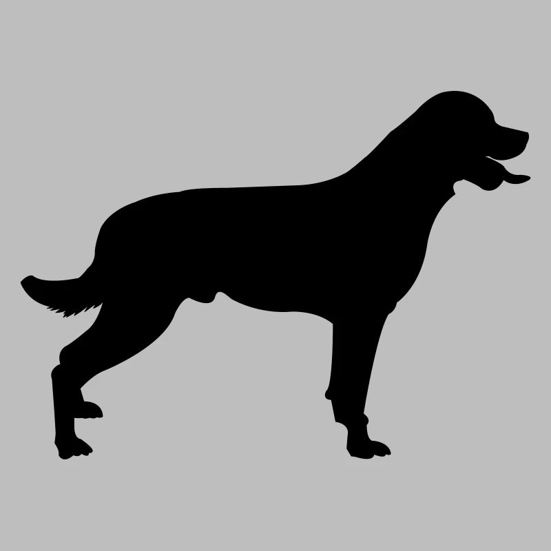 Hund