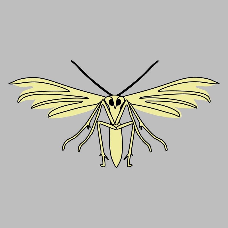 Feather moth
