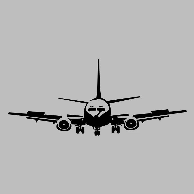 _737_1
