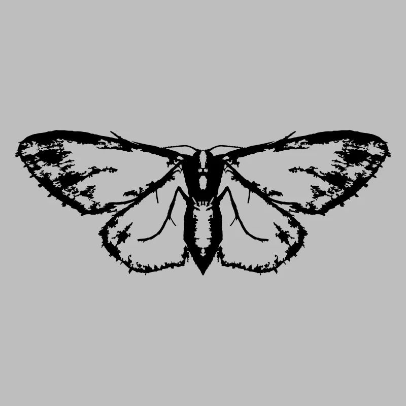 Moth / Butterfly / Moth