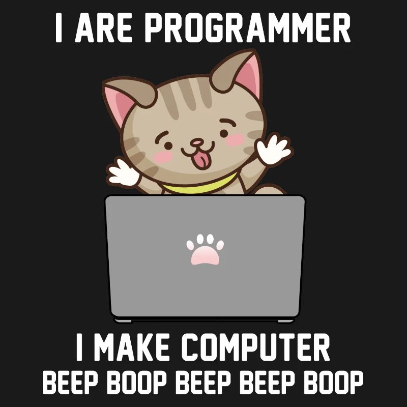 Programmeur