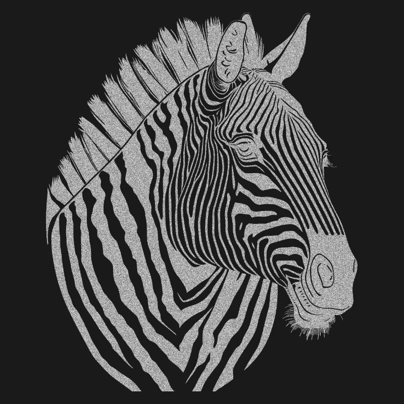 Zebra Noir