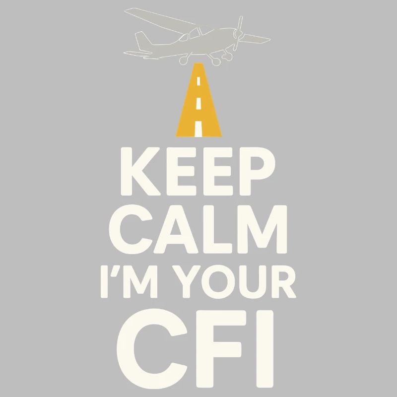 Flight Instructor Cfi Pilot Aviation Instructor