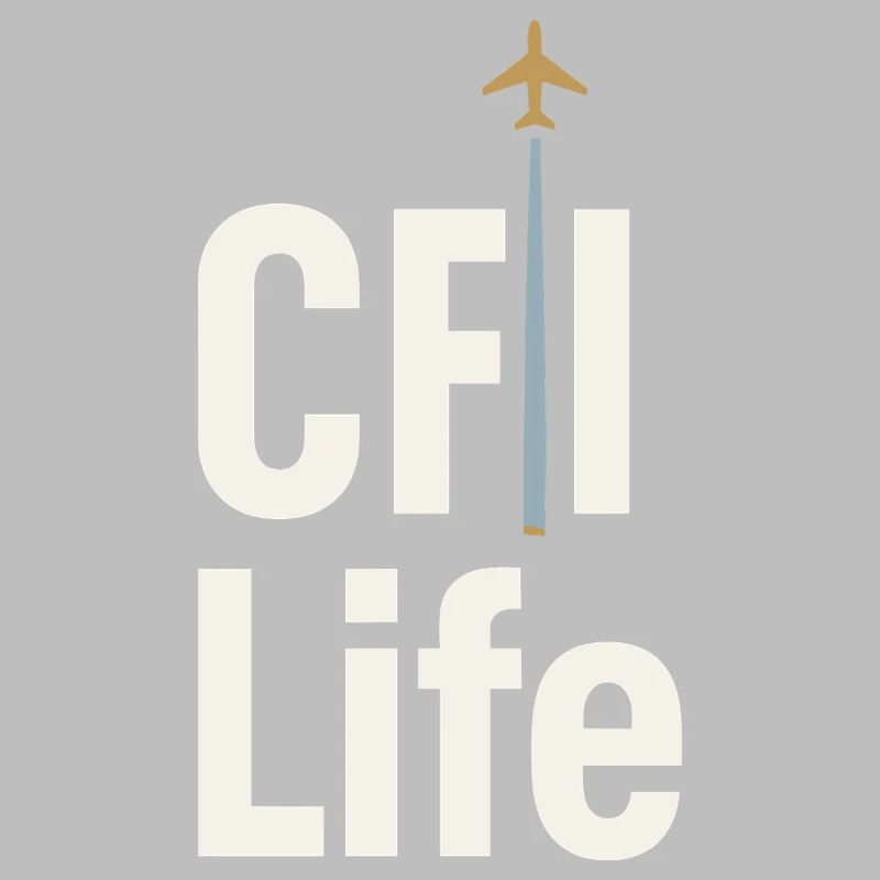 Flight Instructor Cfi Pilot Aviation Instructor