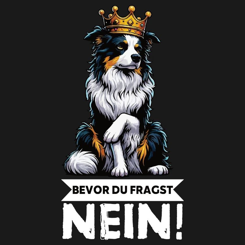Bevor Du Fragst Australian Shepherd Aussie Aussie